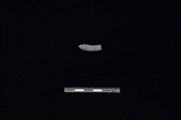 陶環藏品圖，第2張